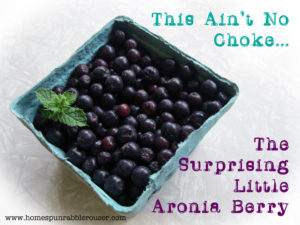 aronia